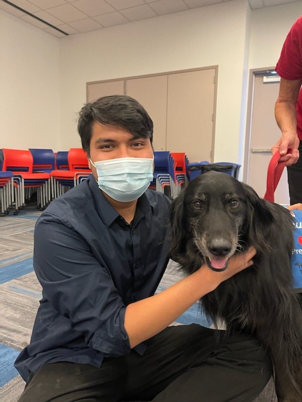 Campus therapy dog visit during finals week