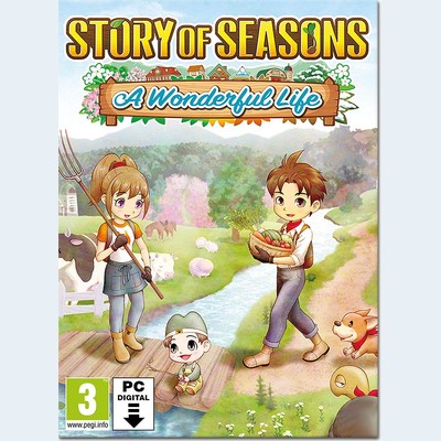 STORY OF SEASONS A Wonderful Life box art