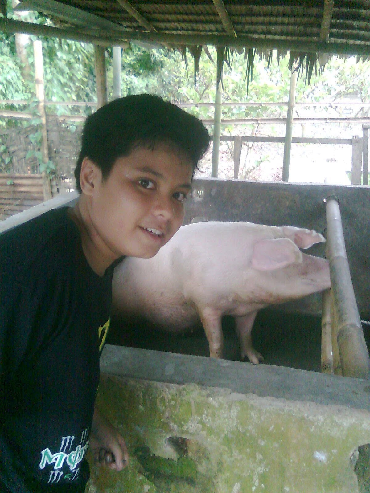 Leaning on the pen next to a pig on the farm