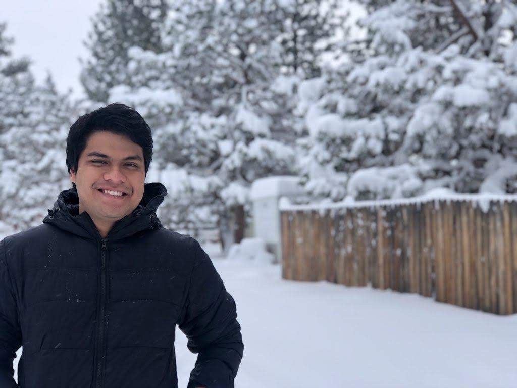 Standing in fresh snow among snow covered pine trees