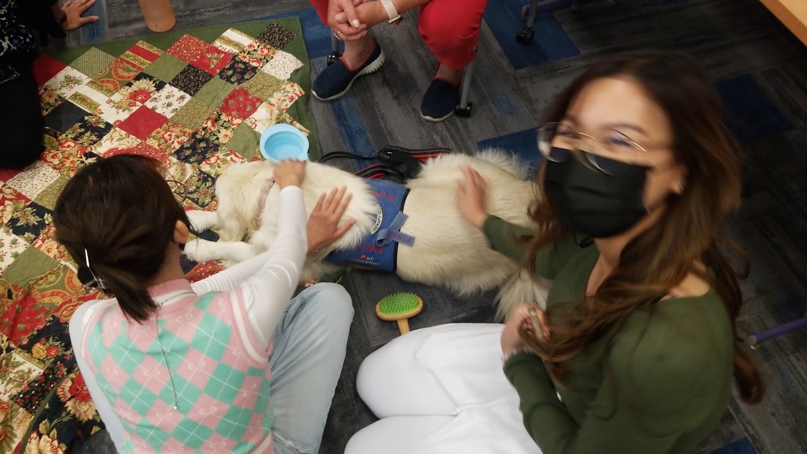 Students on the floor with Finn the therapy dog during finals week