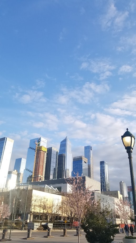 The Hudson Yards towers behind a cherry tree in early bloom